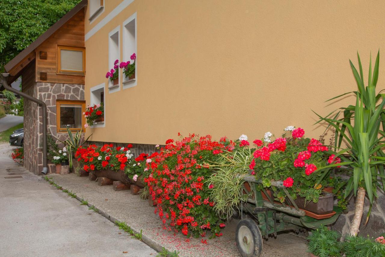 Apartma Erlah Apartment Bohinj Exterior foto